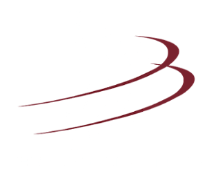 Bradury Group logo white globe on top_maroon rings-01-1